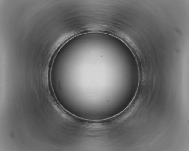 X0000115610986200911101423