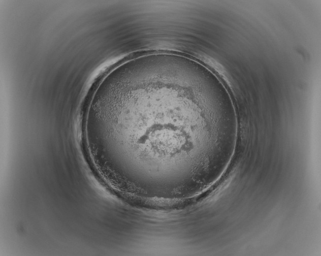 X0000115610987200911101423