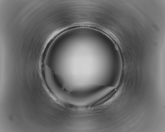 X0000115610989200911101423