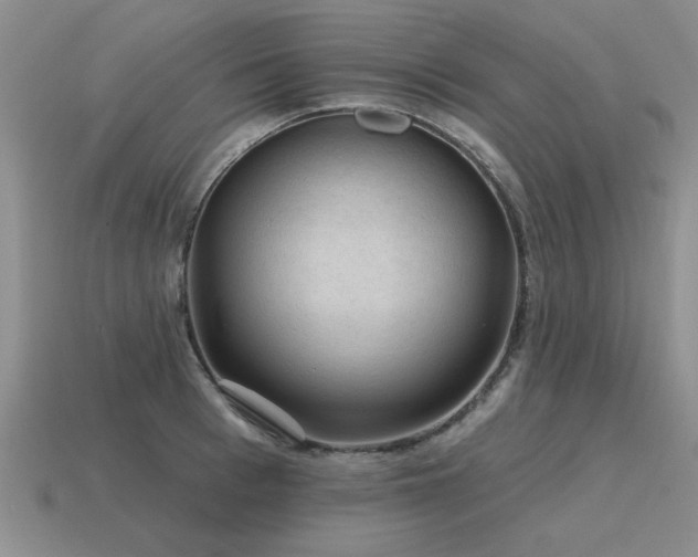 X0000115610993200911101423