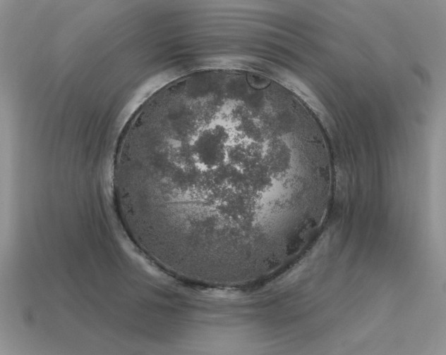 X0000115610994200911101423