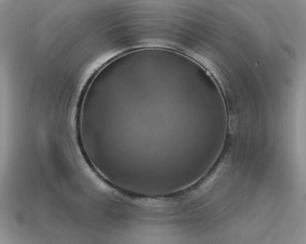 X0000115610995200911101423