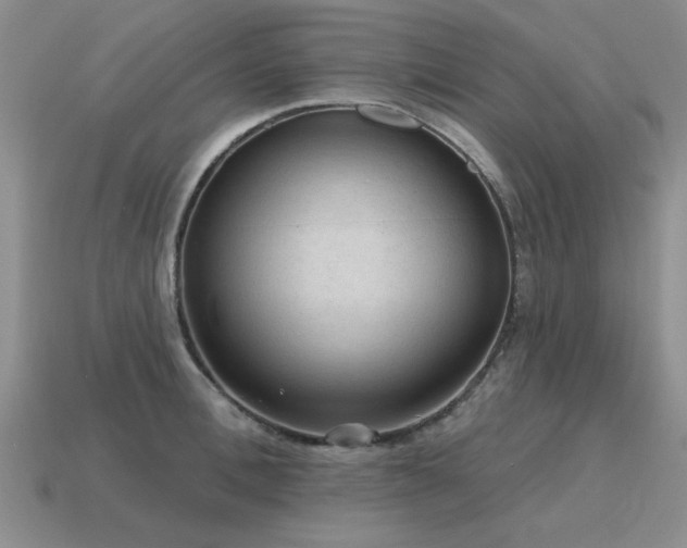X0000115610996200911101423