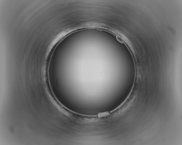 X0000115610997200911101423