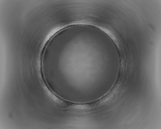 X0000115610998200911101423