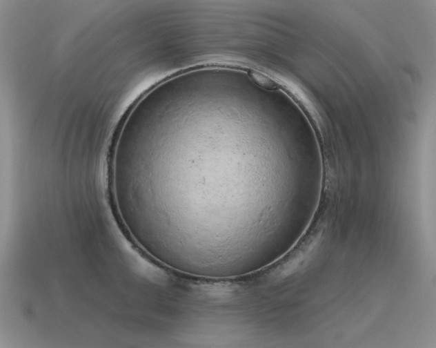 X0000115610999200911101423