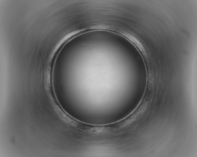 X0000115611000200911101423