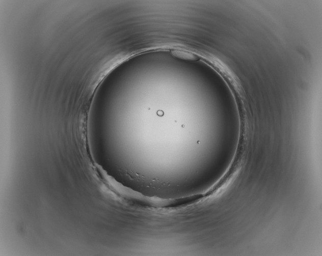 X0000115611001200911101423