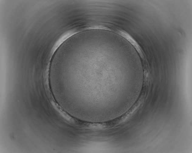 X0000115611002200911101423