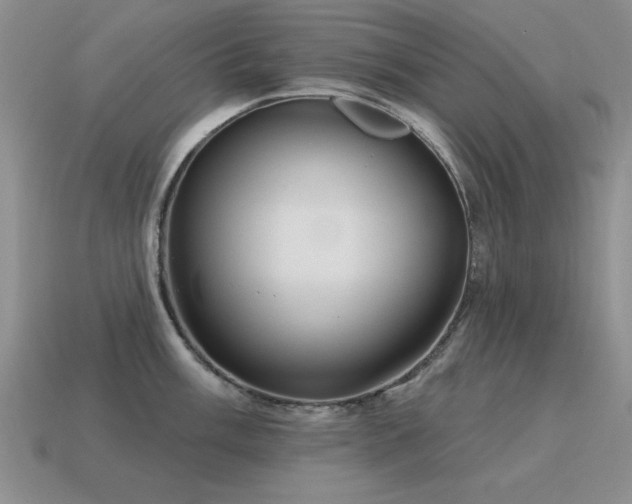X0000115611003200911101423