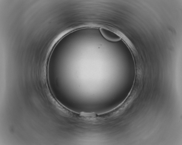 X0000115611004200911101423