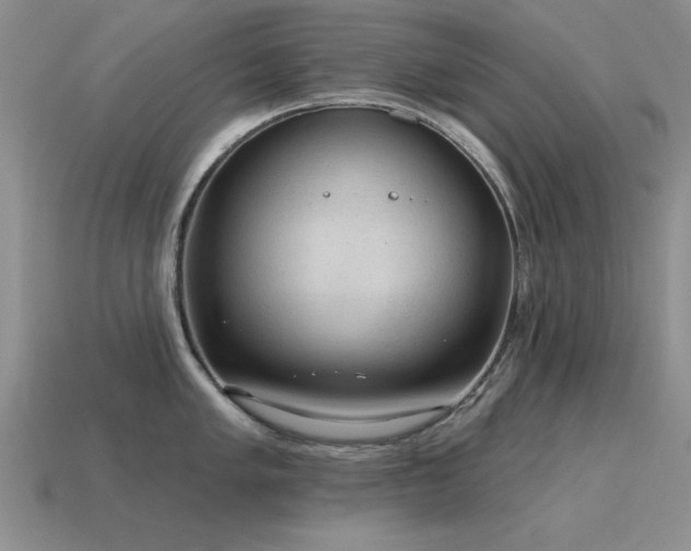 X0000115611005200911101423