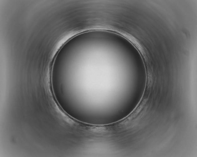 X0000115611006200911101423