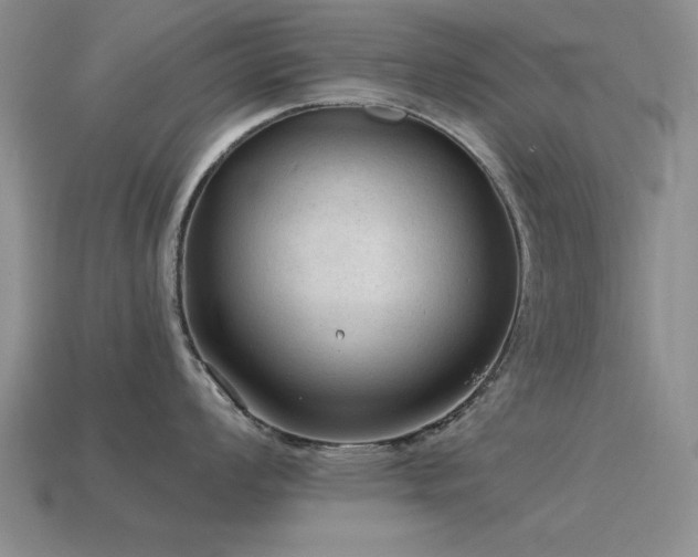 X0000115611008200911101423