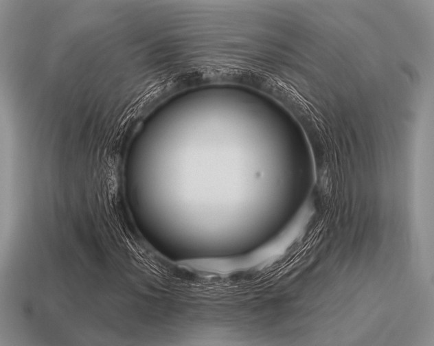 X0000115611012200911101422