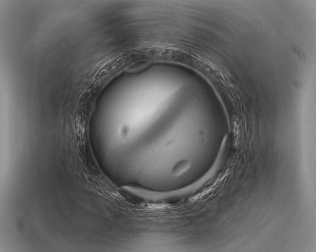 X0000115611013200911101422