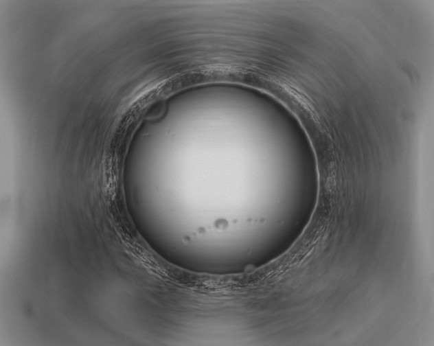 X0000115611015200911101422