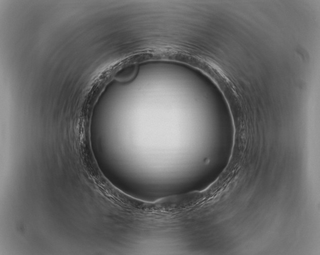 X0000115611016200911101422
