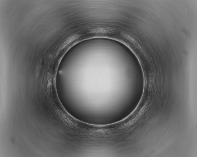 X0000115611017200911101422
