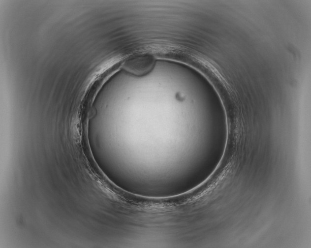 X0000115611018200911101422