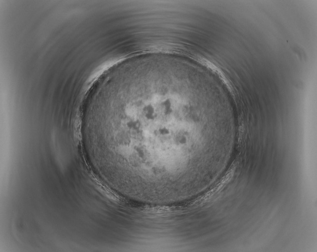X0000115611019200911101422