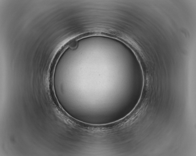 X0000115611020200911101422