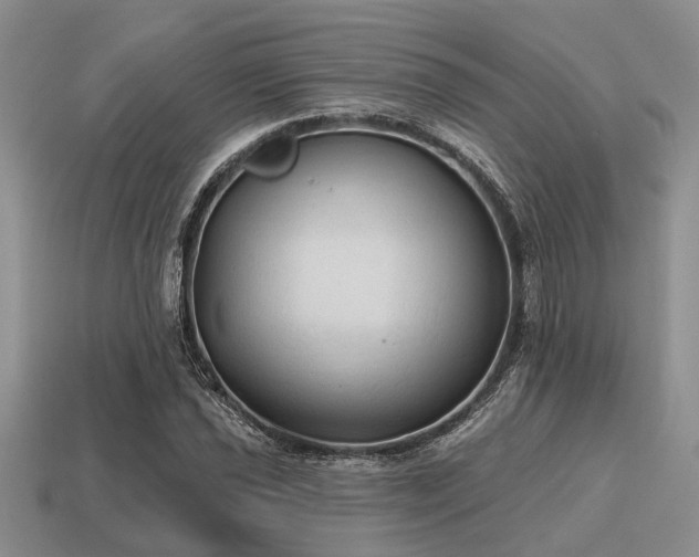 X0000115611021200911101422