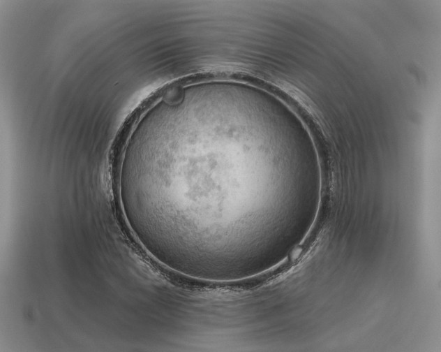 X0000115611022200911101422