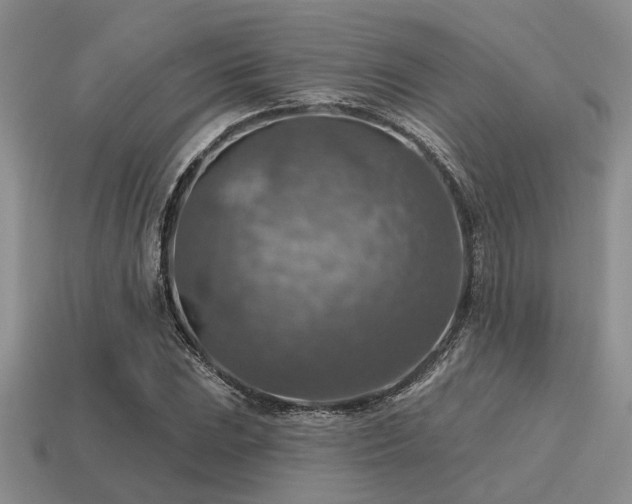 X0000115611023200911101422