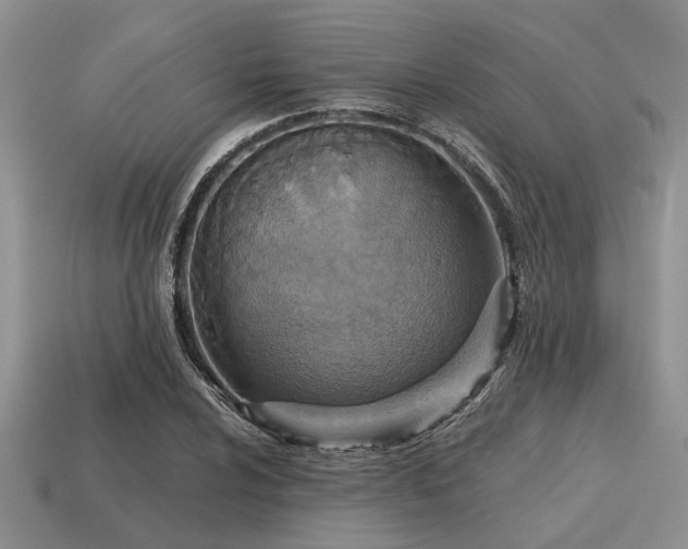 X0000115611024200911101423