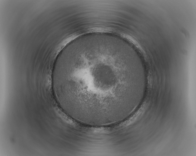 X0000115611025200911101423
