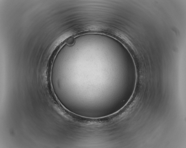 X0000115611026200911101423