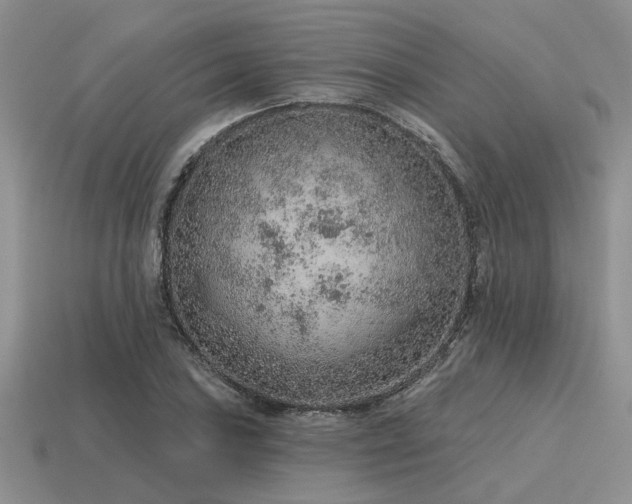 X0000115611027200911101423