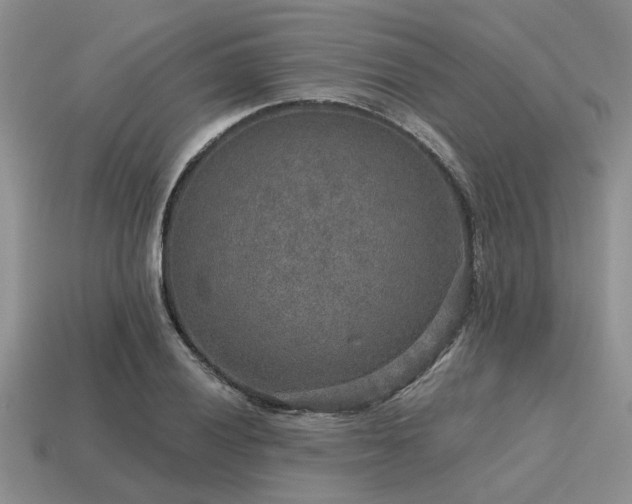 X0000115611028200911101423