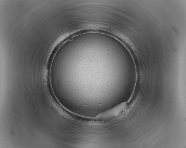 X0000115611029200911101423