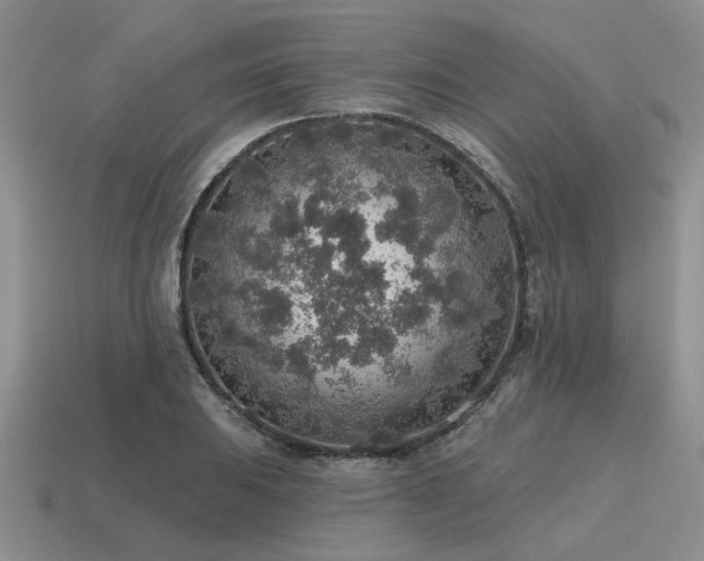 X0000115611031200911101423
