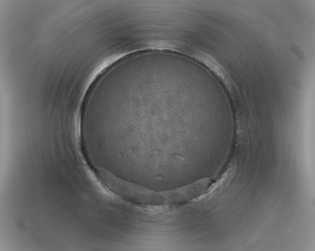 X0000115611032200911101423