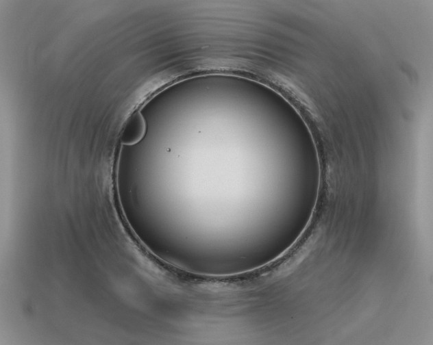 X0000115611033200911101423