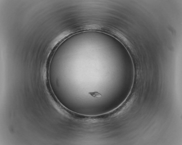 X0000115611034200911101423