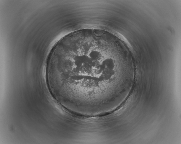 X0000115611035200911101423