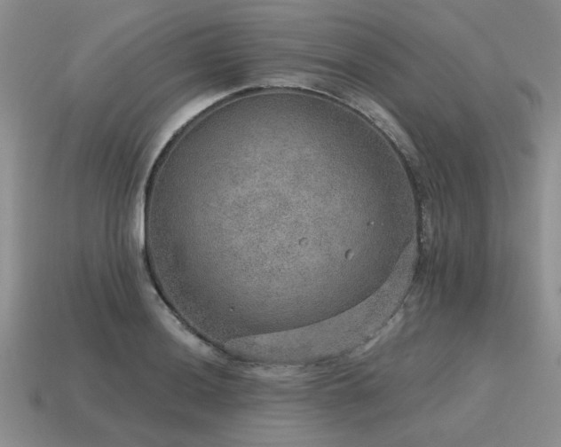 X0000115611036200911101423