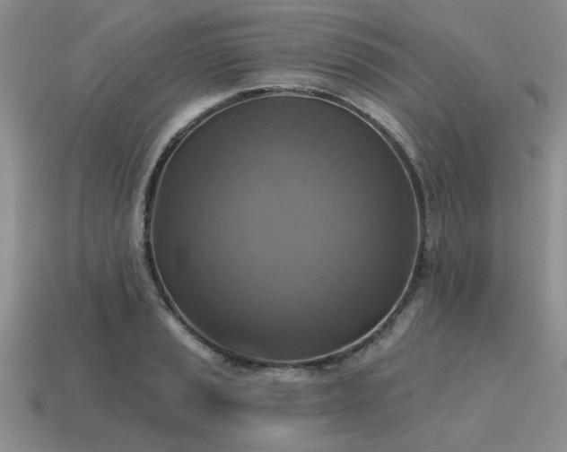 X0000115611037200911101423