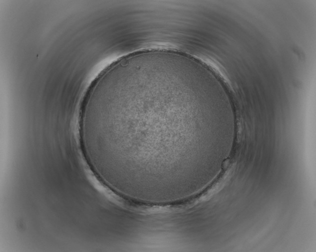 X0000115611038200911101423