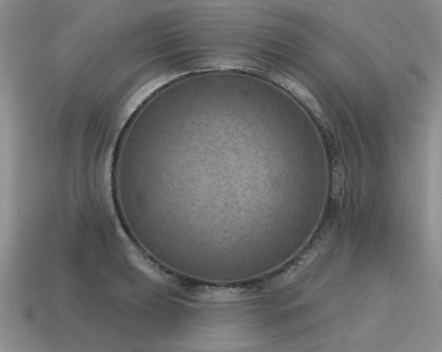X0000115611039200911101423