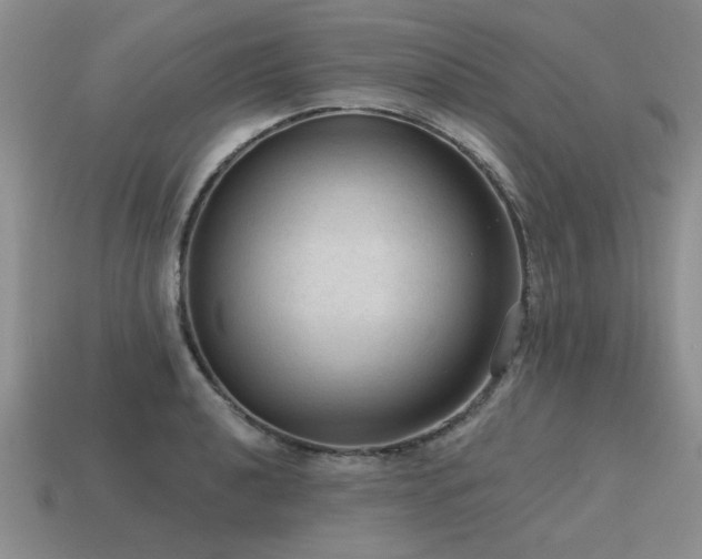 X0000115611040200911101423