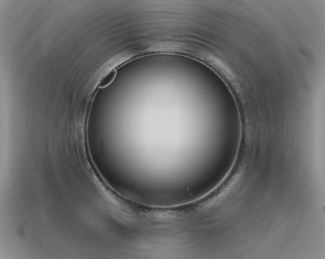 X0000115611041200911101423