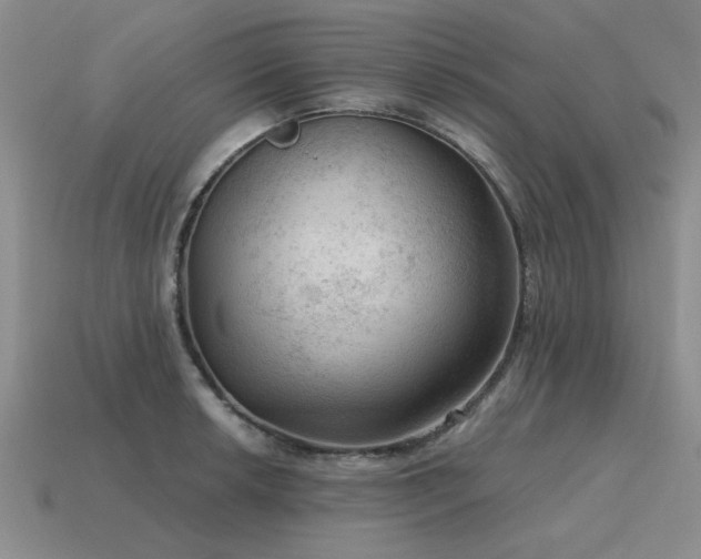 X0000115611042200911101423