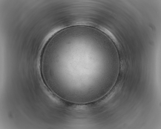 X0000115611043200911101423