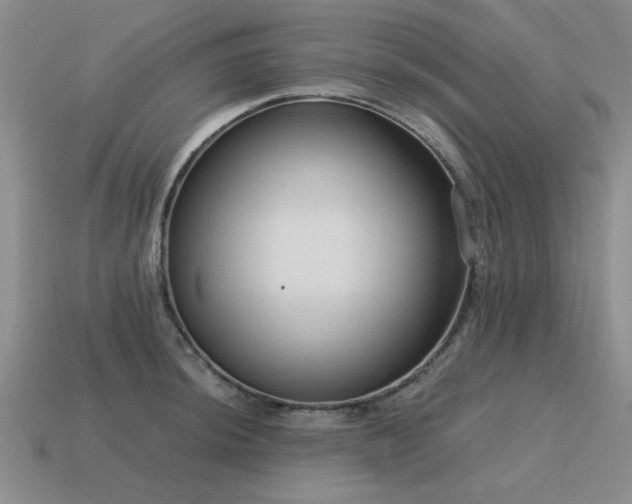 X0000115611044200911101423