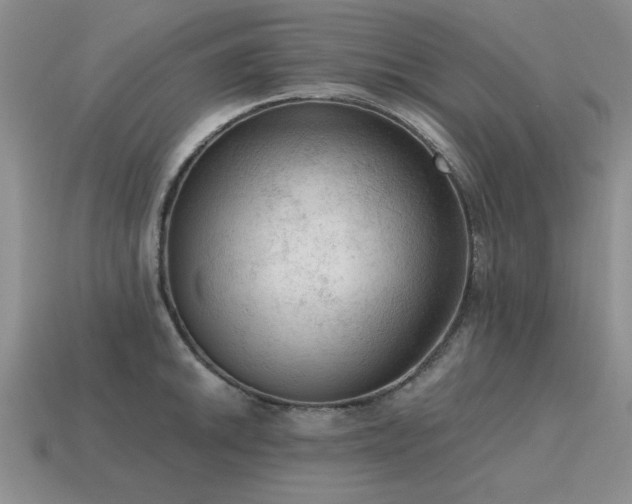 X0000115611046200911101423